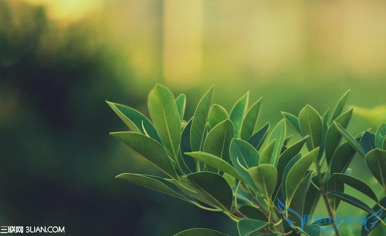 如何让眼睛远离电脑辐射? 52IJ