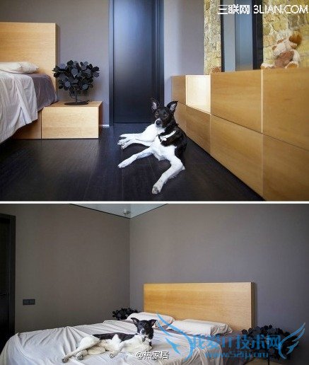 һܿLOFTСԢ              52IJ