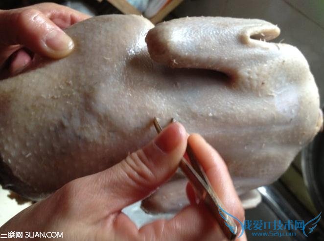 þƻɰë          52IJ