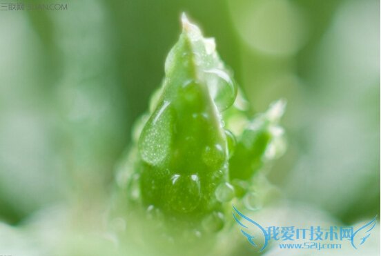 «ĹЧüʳ÷      52IJ