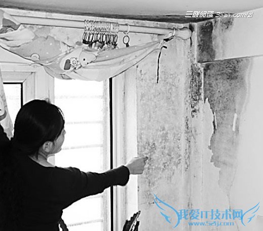 컨ǽ巢ùʲô 52IJĶ