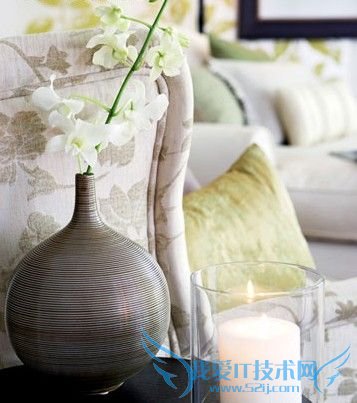 鲜活植物为家注入自然活力(一) 52IJ