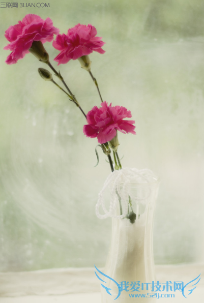 2016年三八妇女节礼物推荐(送母亲、女朋友、妻子、老师) 52IJ