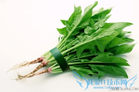 菠菜选折痕少的 52IJ