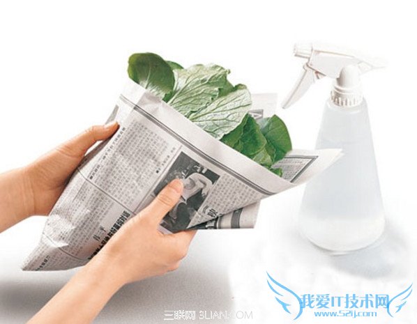 冬季保存的蔬菜窍门 52IJ