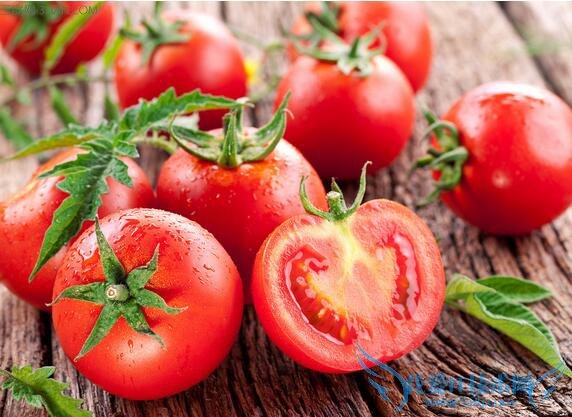 烧糊了怎么洗容易 52IJ