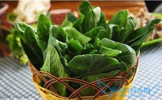 ˵ĹЧѡû       52IJ