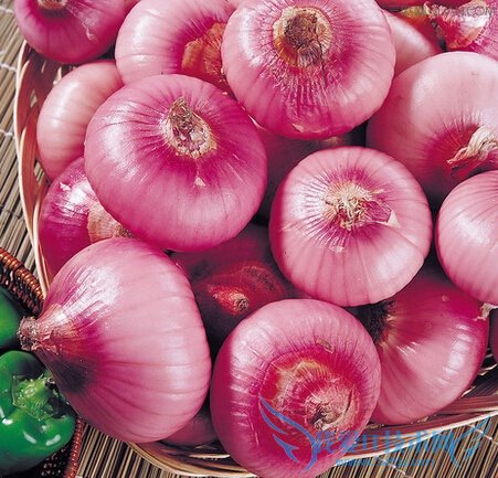 ߲汣ʣ߲˼ʵ       52IJ