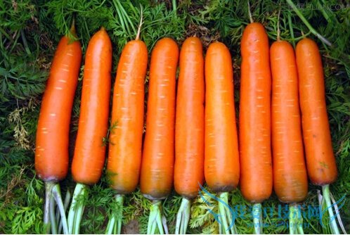 ߲汣ʣ߲˼ʵ       52IJ