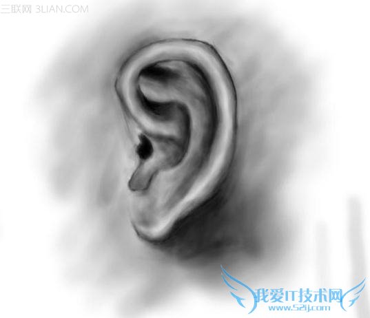 为什么耳朵最怕冷? 52IJ