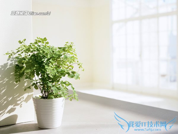 巧除冰箱异味的方法 52IJ阅读