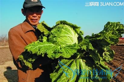 ѩʱ߲˽Ѳصķ       52IJ