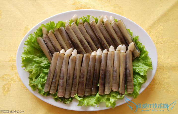 蛏子什么季节吃最好 52IJ