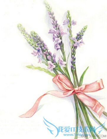 柠檬马鞭草功效以及作用 52IJ