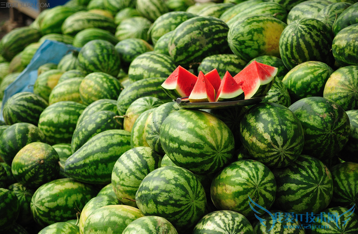 夏天怎么挑选西瓜 52IJ