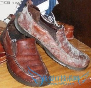 去年穿的皮鞋发霉了怎么办 52IJ