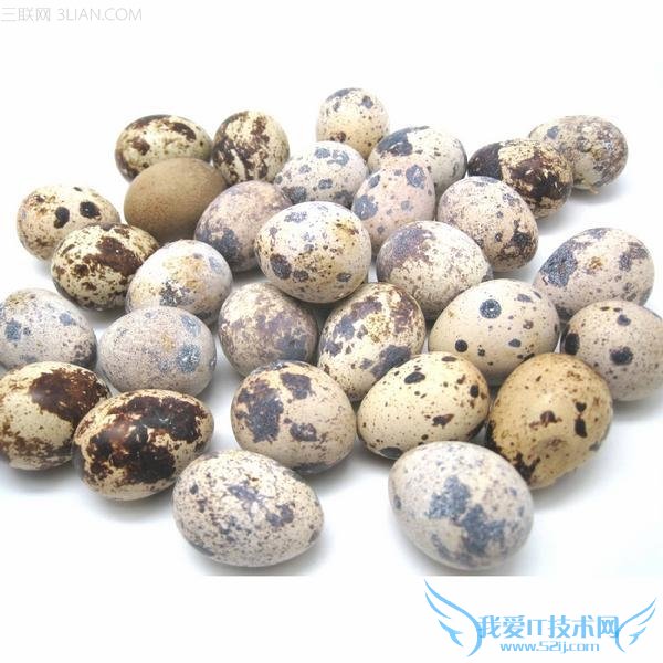 教你挑选好蛋 52IJ