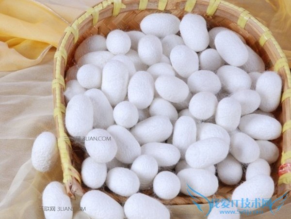 如何鉴别真假桑蚕丝 52IJ