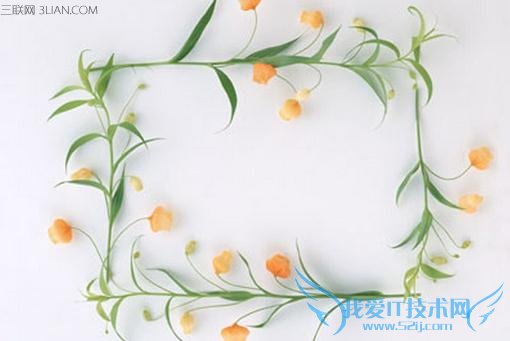 你看后会收藏的生活小妙招 52IJ