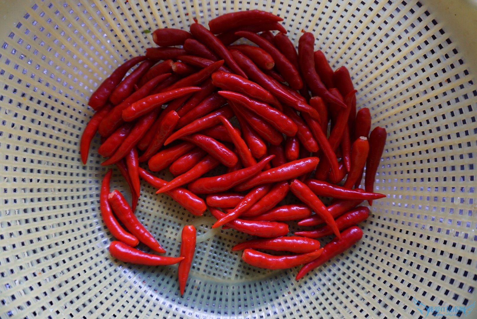 新鲜小米椒长期保存方法的做法 步骤2
