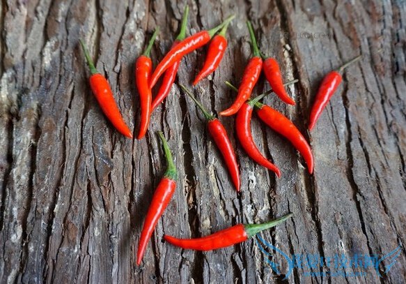 小米椒怎样长期保存方法 52IJ