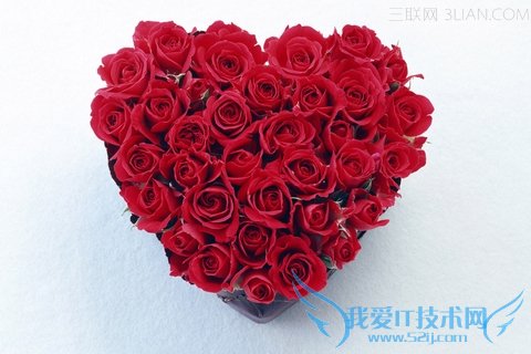 情人节适合送什么花 52IJ