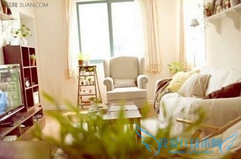 еӼС֪ʶ        52IJ