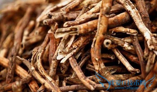 牡丹皮的功效与作用 52IJ