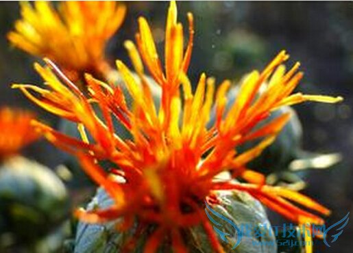 컨Чʳýɼ                52IJ