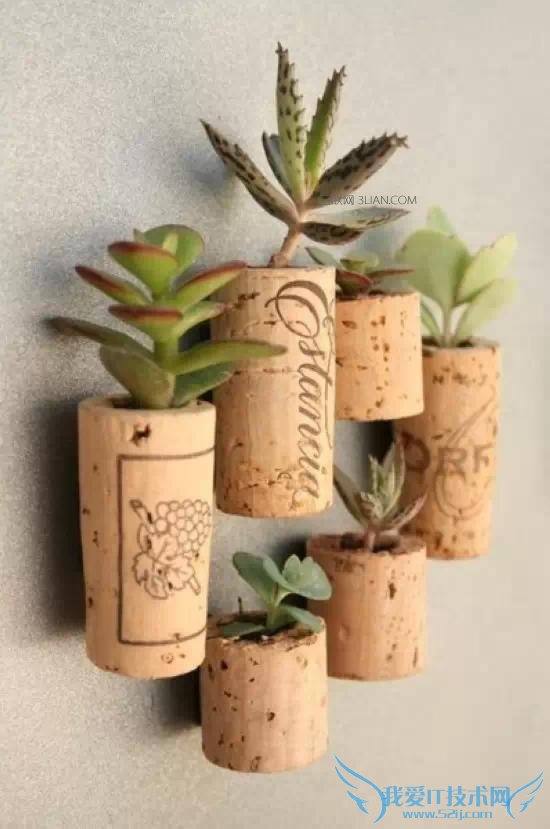 20个生活小技巧,变身生活达人。