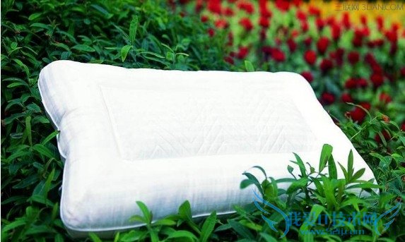 荞麦皮枕头如何清洗 52IJ