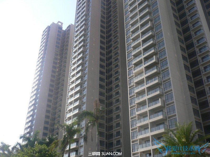 򷿲òƭִ        52IJ