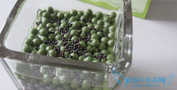 铜钱草种子的养殖方法和注意事项 52IJ