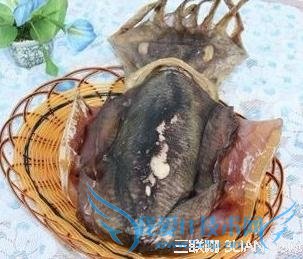 如何挑选墨鱼干 52IJ
