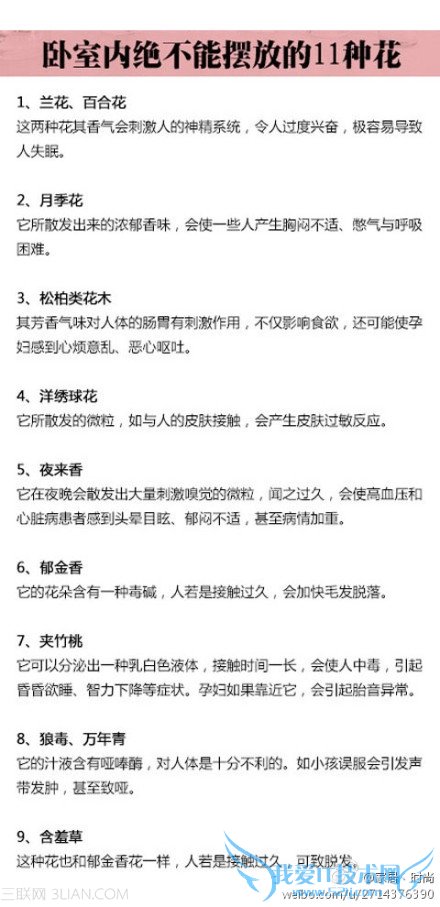 ھܰڷŵʮһֻ             52IJ