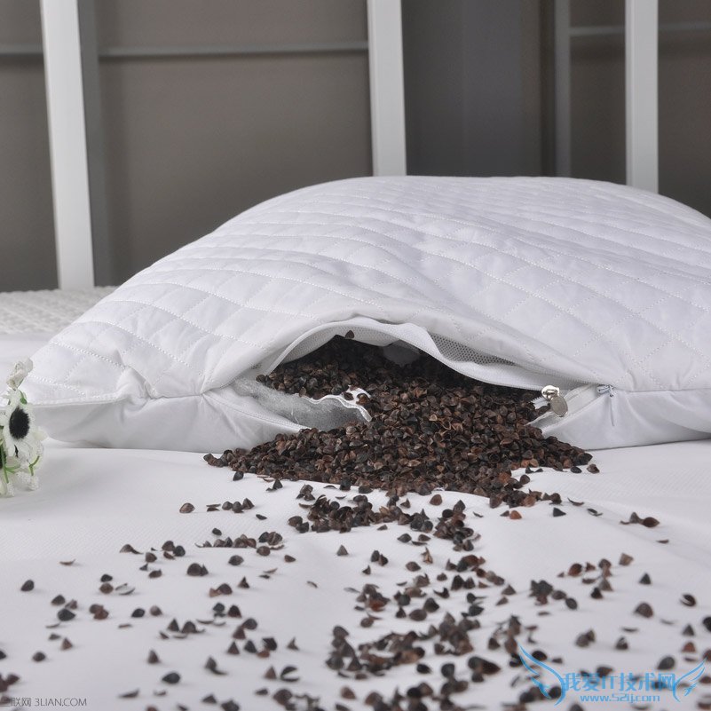 荞麦枕头的功效与作用 52IJ