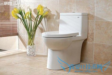 8种东西别倒进马桶 52IJ