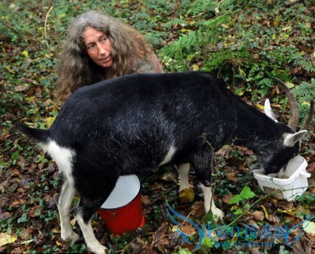 ԭʼԶ볾عȻ              52IJ