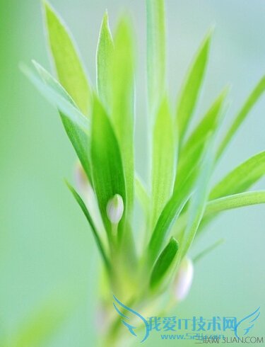 ЩֲԼװȾ       52IJ