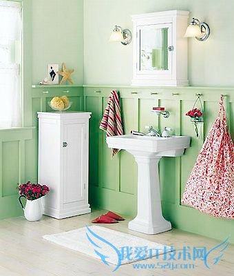 鲜活植物为家注入自然活力(四) 52IJ