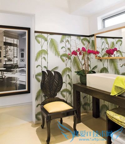 鲜活植物为家注入自然活力(四) 52IJ