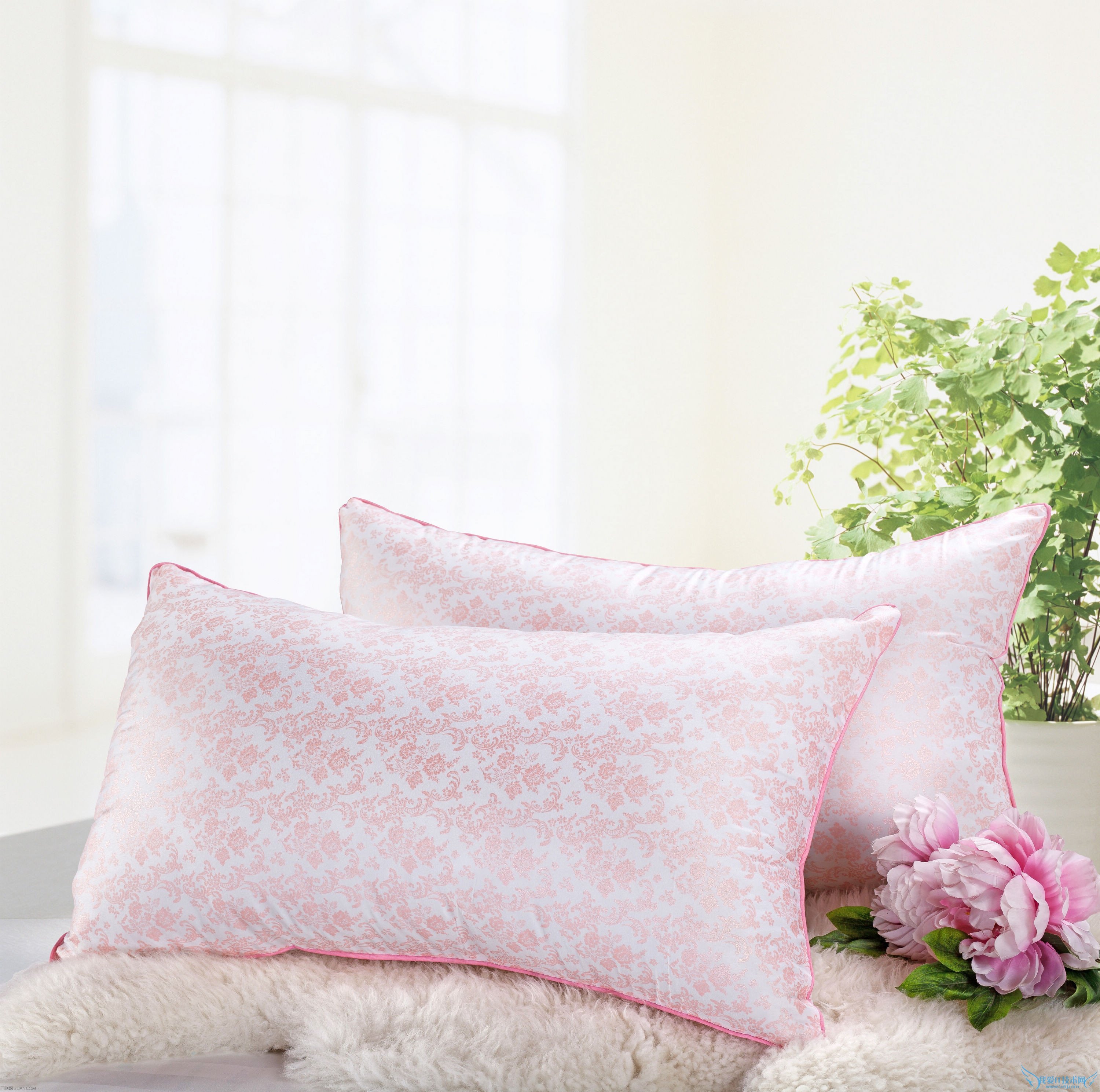 枕芯什么材料好 52IJ