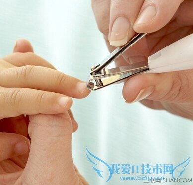 指甲怎么剪?剪指甲的常识 52IJ