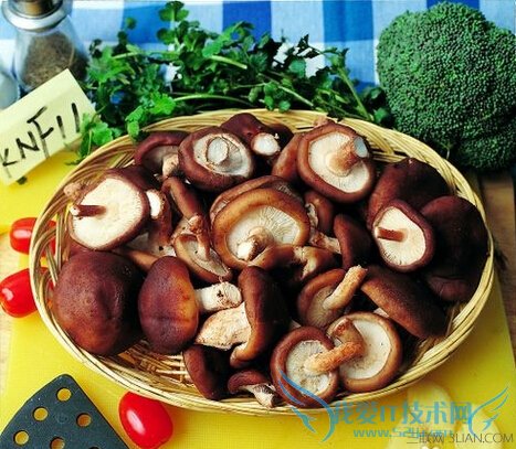 蘑菇怎样清洗容易干净 52IJ