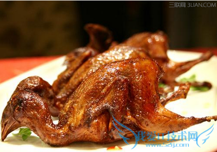 鹌鹑美味营养价更高 52IJ