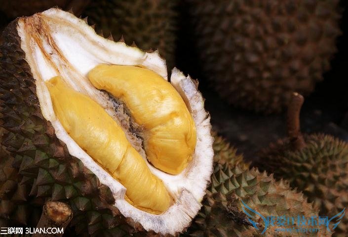 怎样挑选榴莲 52IJ