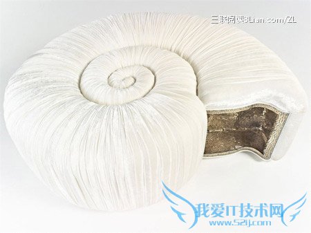 ϯϣ˼SicisЩпյĶɳ