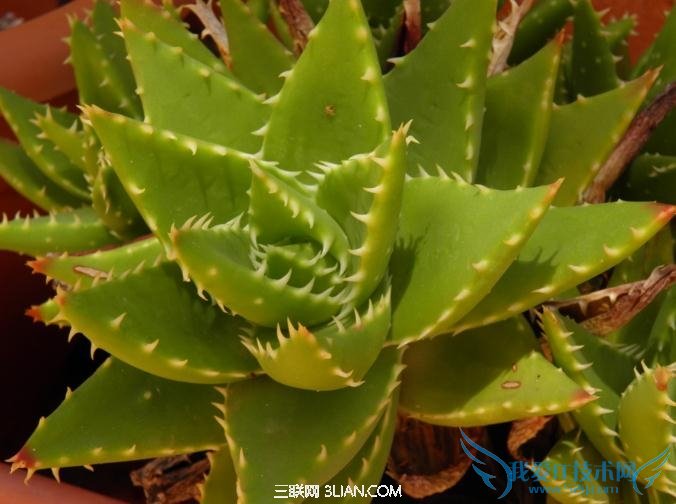 14ֲڼЧ          52IJ