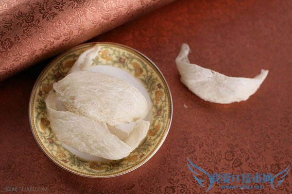 燕窝的挑选方法 52IJ