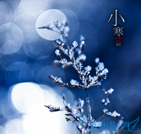 小寒和大寒哪个更寒 52IJ